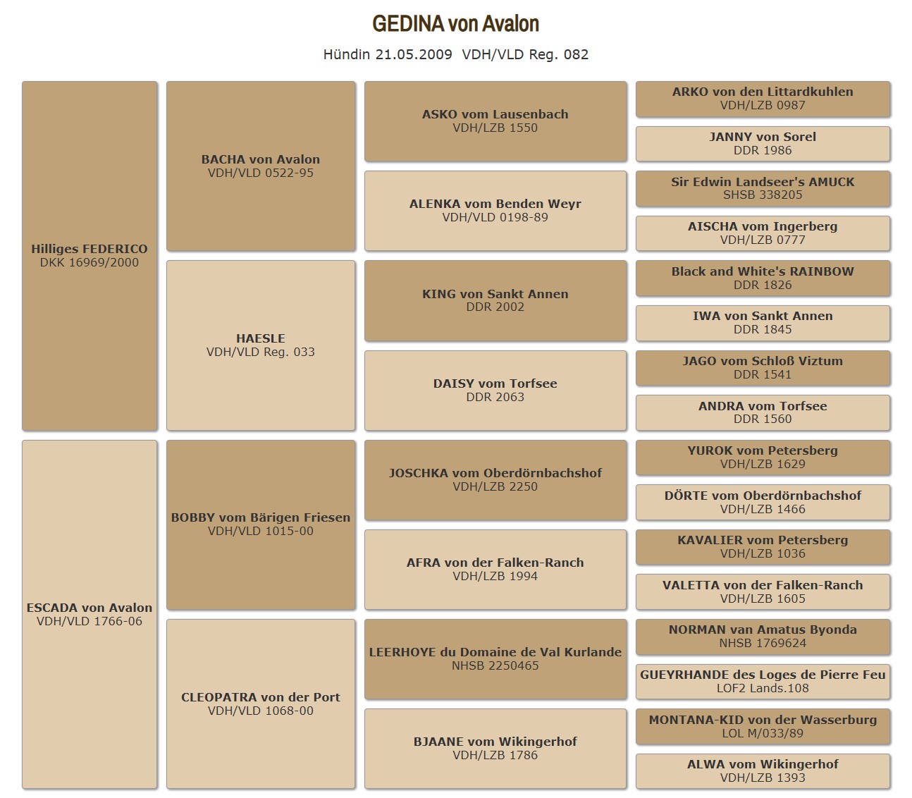 Ahnentafel Gedina von Avalon