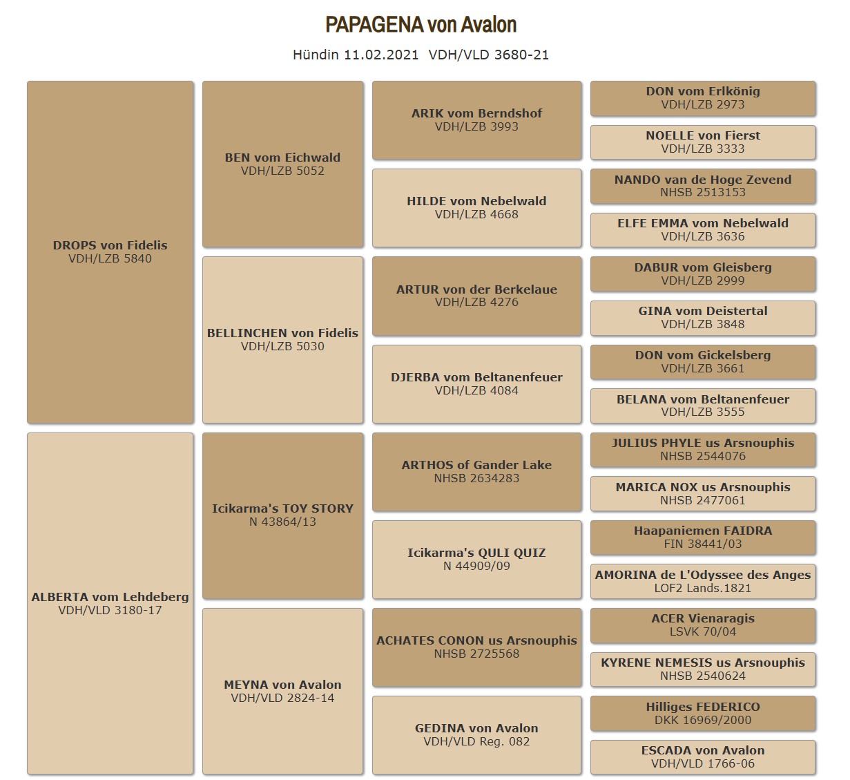Ahnentafel Papagena von Avalon